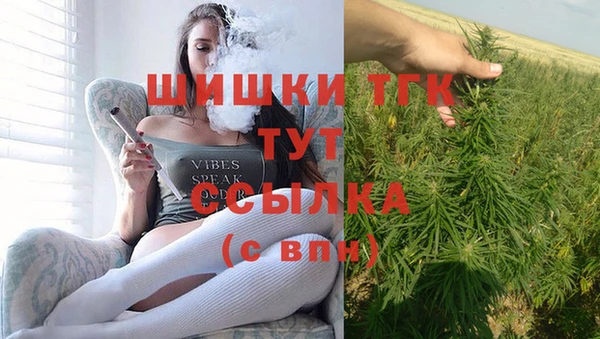соль ск Ельня